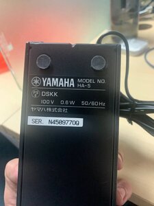 photo_2022-03-19 22.15.39.jpeg