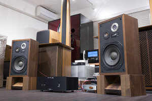 ds-251mkii.JPG