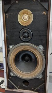 PXL_20220418_130009827.jpg