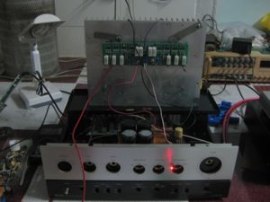 IMG_0181.jpg