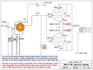 30P1S PSE - B+160V (1).JPG