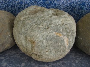 07042012_HO_DINASTY 038.jpg