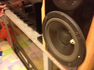 IMG_0041.JPG