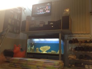 IMG_0053.JPG