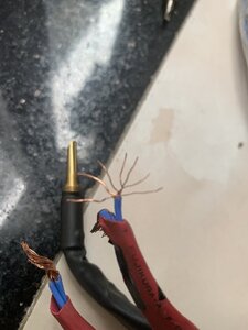 C7267731-D66B-4DF1-82CE-04443E325130.jpeg