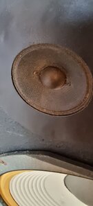 20220509_100552.jpg