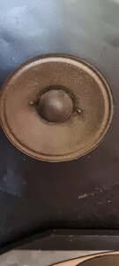 20220509_100607.jpg