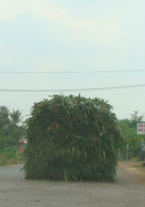 Ki thuat tang hinh trong giao  thong VN.jpg