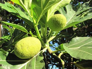 New_07152012_OC 002.jpg