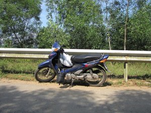 New_cauca_BD_2011 014.jpg