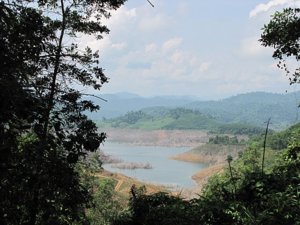 New_cauca_BD_2011 020.jpg