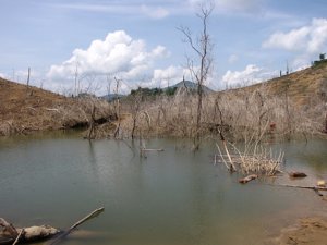 New_cauca_BD_2011 023.jpg