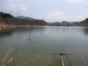 New_cauca_BD_2011 026.jpg