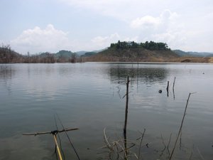 New_cauca_BD_2011 029.jpg