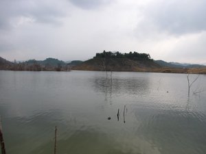 New_cauca_BD_2011 037.jpg