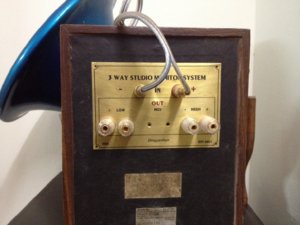 phan tang mat sau (800 x 600).jpg