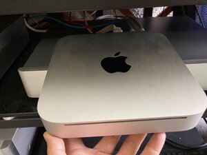 IMG_3624.JPEG