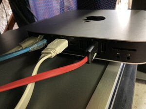 IMG_3628.JPEG
