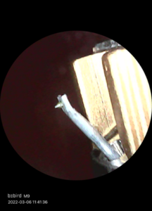 CA6D3AEB-08E6-49E3-9BD8-27850A60243A.png