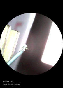 DE5F6184-5F7F-470D-ACF1-0C634F9E98DB.png