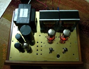 RS1003 SE ampli.JPG