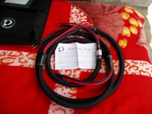 P1010084-1.jpg