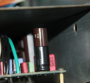 IMG_4558.jpg