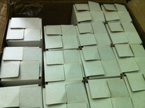 100APPLE_IMG_0387.JPG