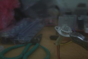IMG_6540.JPG