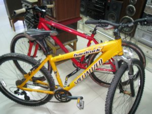 2 XE DAP VANG DO.JPG