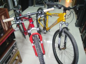 2 XE DAP VANG DO.1.JPG