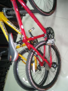 2 XE DAP VANG DO.2.JPG