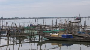 New_Hoa_07162011 026.jpg