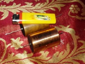 dongnatcapacitor.jpg