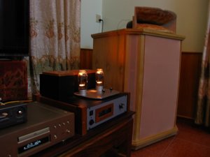 New_09122012horn 011.jpg