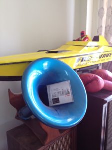 horn 1  (600 x 800).jpg