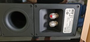 20220820_082946.jpg
