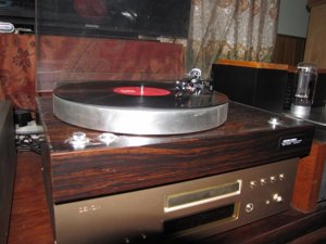 New_09122012horn 014.jpg