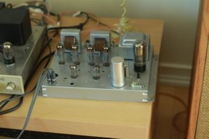 IMG_5581 (Small).JPG