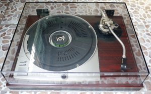 P1010529.JPG