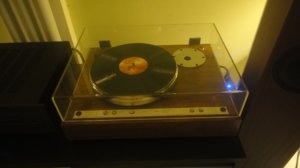 DSC07895.JPG