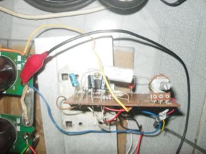 SDC10009.JPG