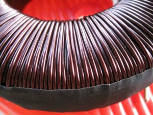 IMG_3404 (600 x 450).jpg