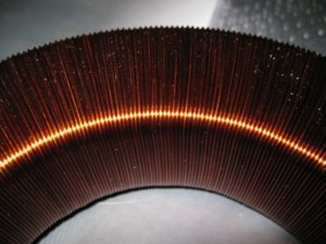 IMG_3406 (800 x 600).jpg