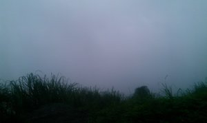 IMAG011.jpg