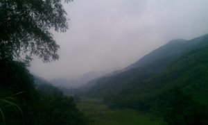 IMAG012.jpg