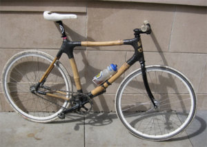 bamboo_bike_profile_small.jpg