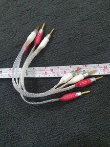 20221008_174136.jpg