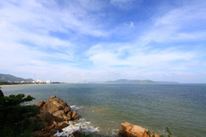 IMG_0303s.jpg