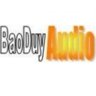 BaoDuyAudio